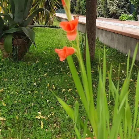 Incanto Forte dei Marmi