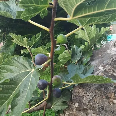 Incanto بيت للعطل *
